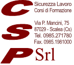 Logo CSP Srl - scritte-2