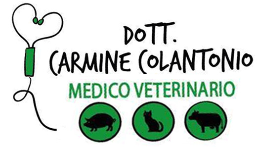 colantonio